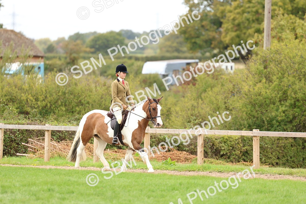 SBM_65198 - S59 - Part Bred Arab & Native Pony Ridden