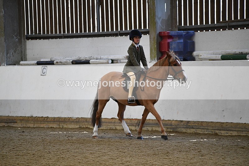 WJ5_5925 - Class 9 Ridden Veteran