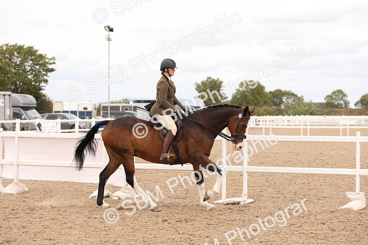 SBM_17218 - Class 213 - Ridden Hunter - Large