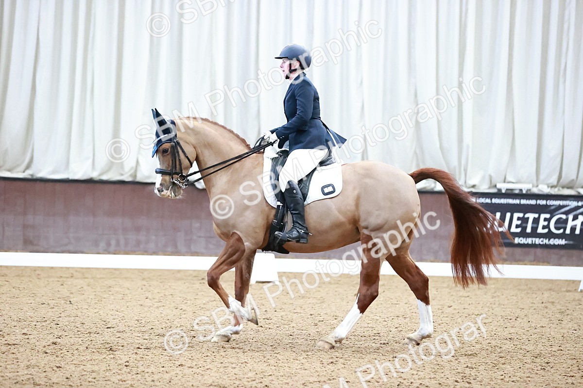 SBM_000474 - Class 7 - Medium 3