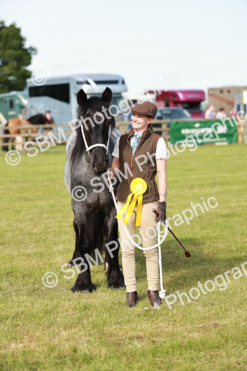 SBM_00770 - Class 14-23 - Mountain & Moorland In Hand Non Welsh