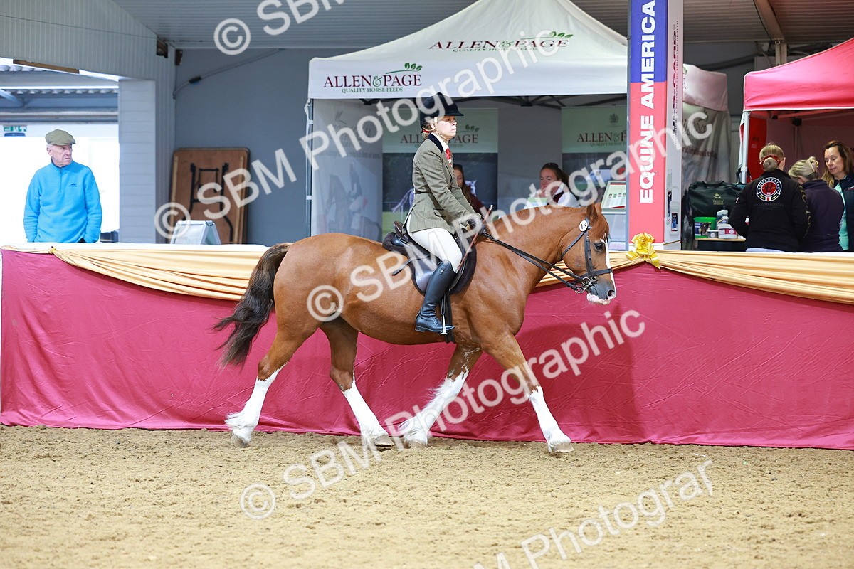 SBM_00741 - Class 6A - Ridden Pre-Vet