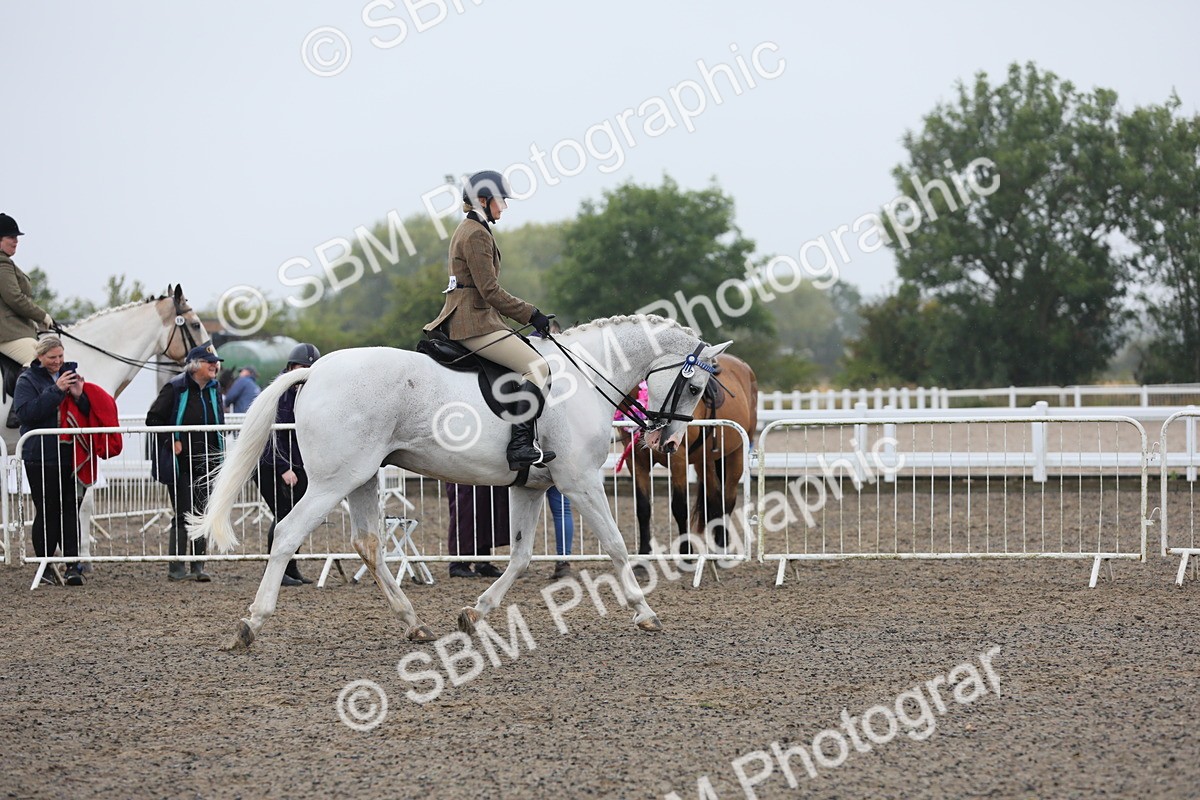 SBM_20006 - Class 802 - Ridden Groom - Helpers class