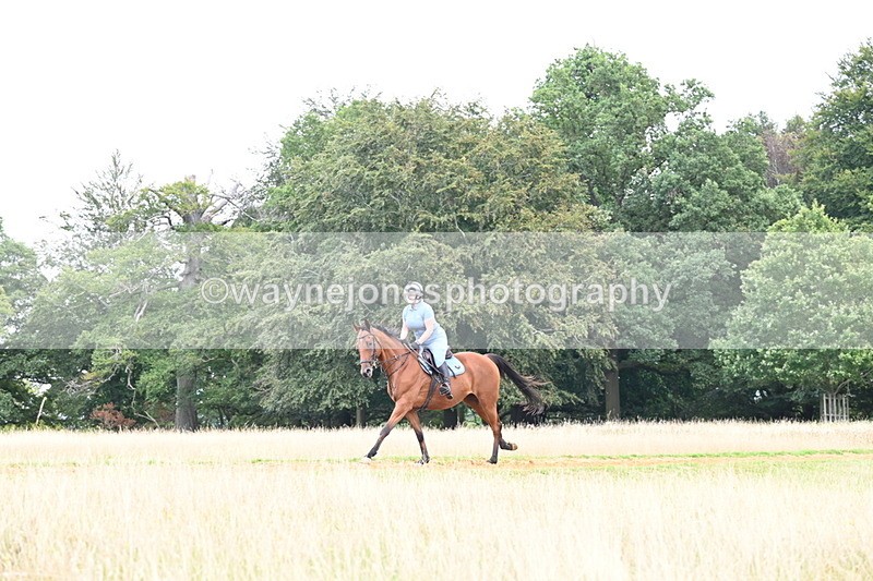 DSC_7625 - Time at Statue 13:16 to 13:52