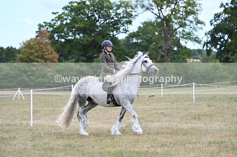 WJ7_4669 - Class 12 Ridden Cob