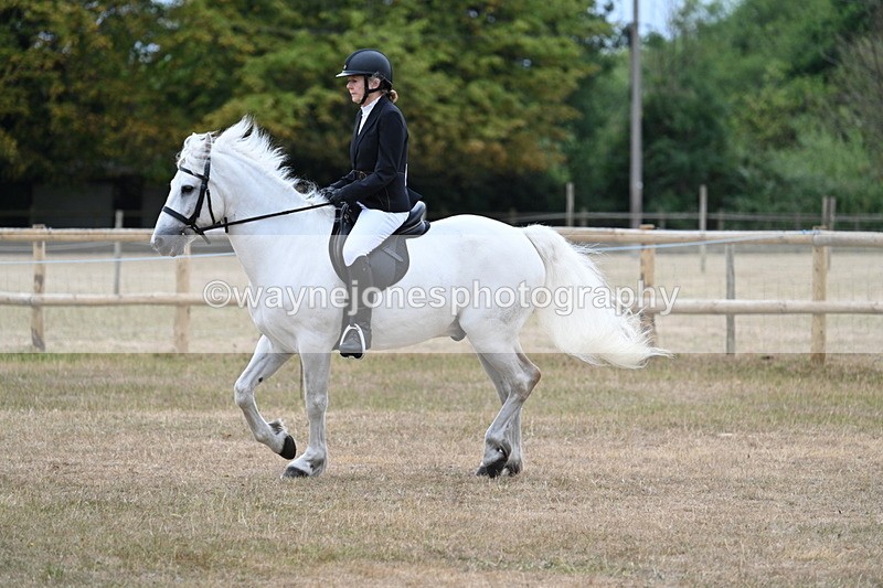WJ7_0347 - Class 6 Ridden Mountain and Moorland
