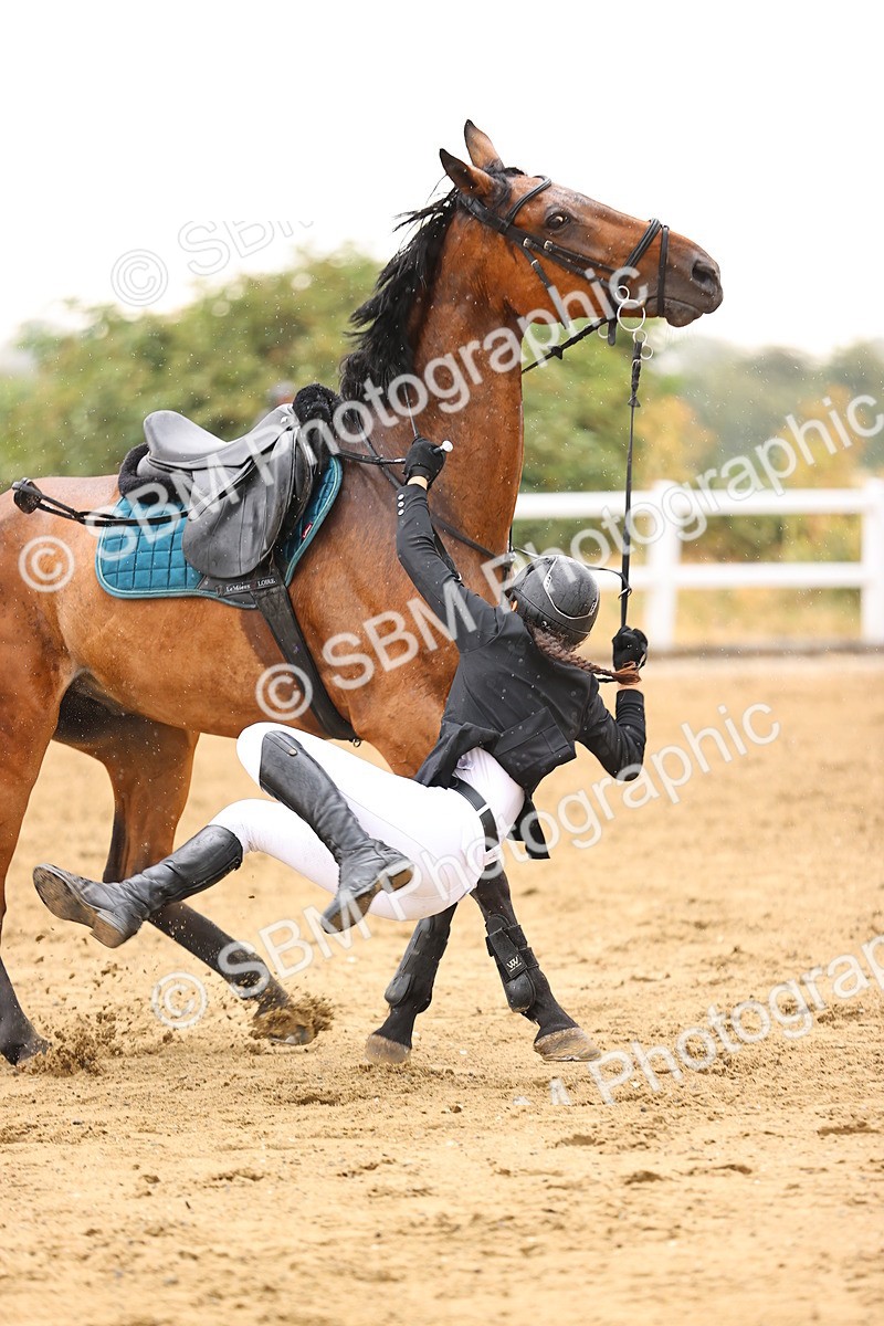 SBM_025053 - Class 9 - Senior British Novice - 90cm