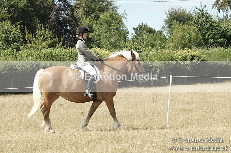 _PJP6047 - BVRC Show 2018 Ring 1