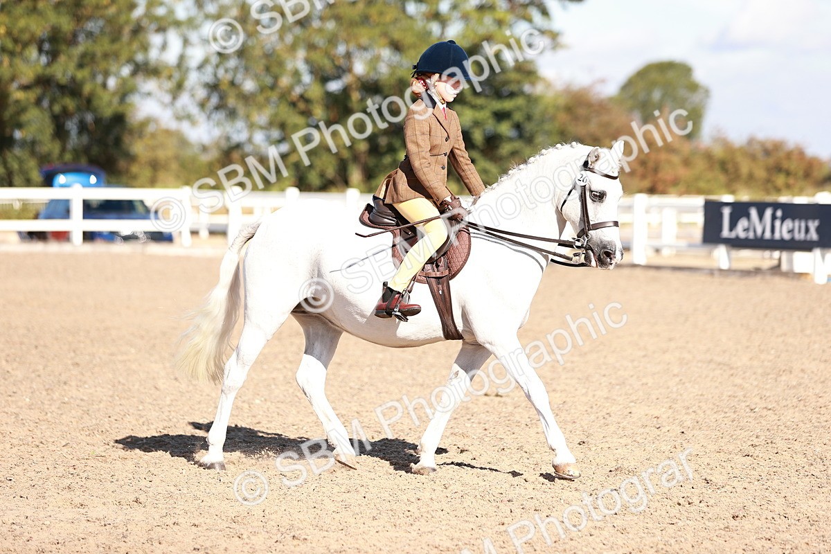 SBM_12500 - Class 403 - Grassroots Ridden - Junior
