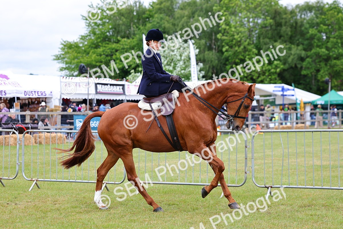 SBM_02942 - Class 9-11 Side Saddle including LIHS Rising Star Ladies Show Horse