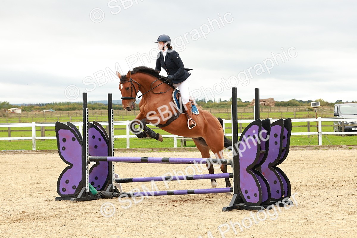 1I0A6846 - Class 2 - Senior British Novice