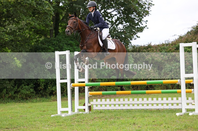 3E7A7263 - Class 5: Senior British Novice/90cm open