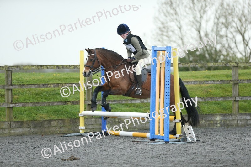 20260412-1904 - Show Jumping