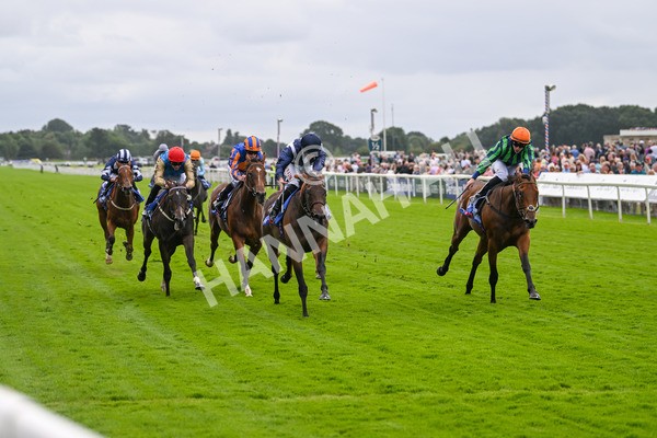 220824-Race 1-Celandine-6585 - Race 1 1.50pm Sky Bet Lowther Stakes