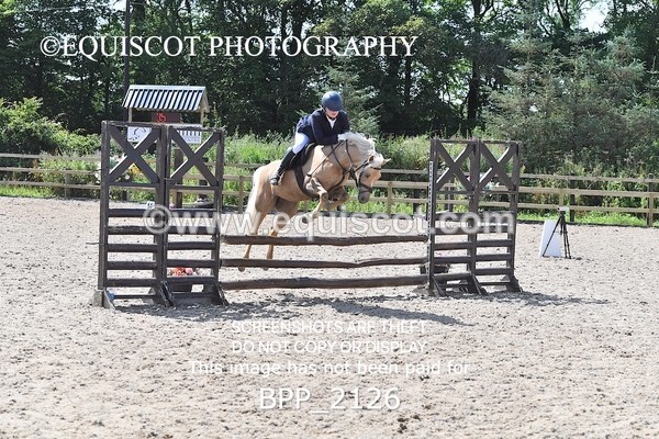 BPP_2126 - DERBY CLASS 6 - 70CM