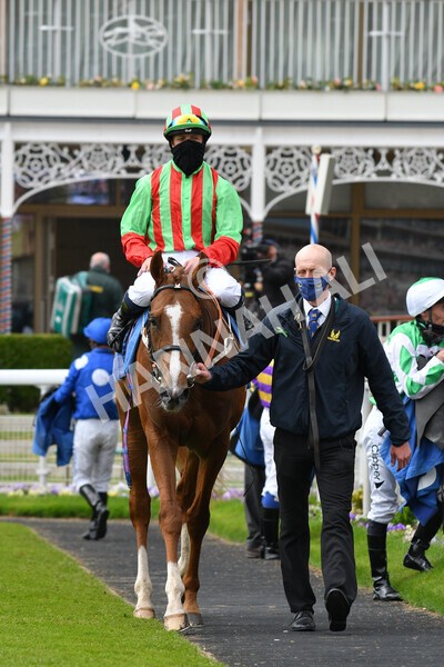 yr14052021r7-34 - Race 7 4.50pm Irish Thoroughbred Marketing Stakes