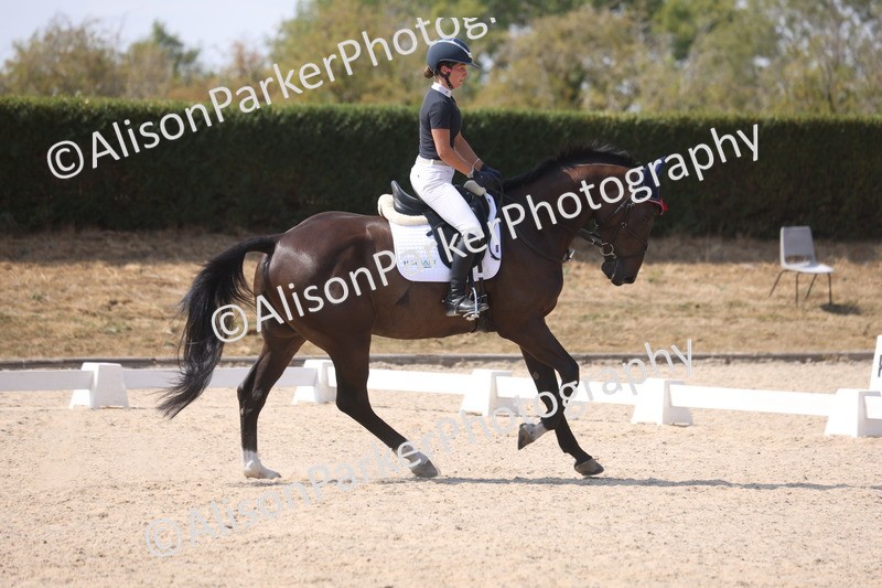 20260815-0946 - Class 5 - Novice 1