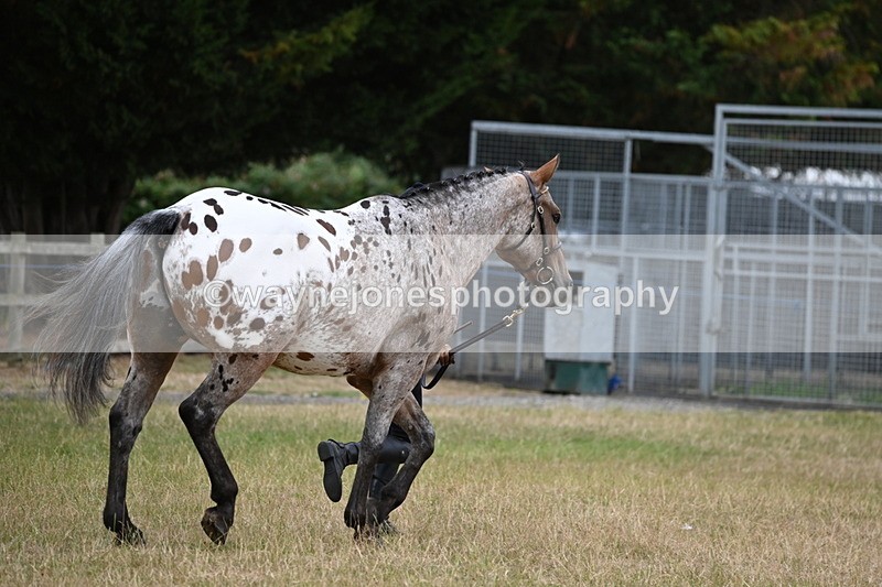 WJ6_8509 - Class 10 Coloured in Hand