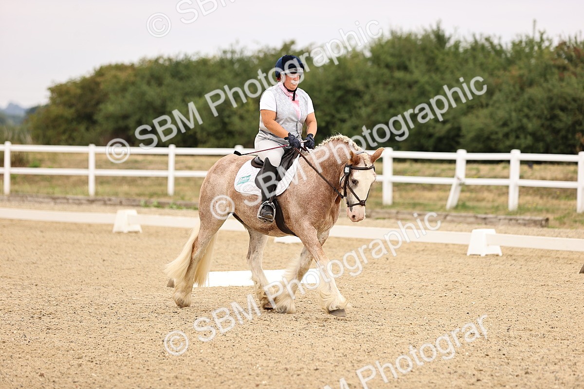 SBM_006415 - Intro 3 - 9.46-10.46