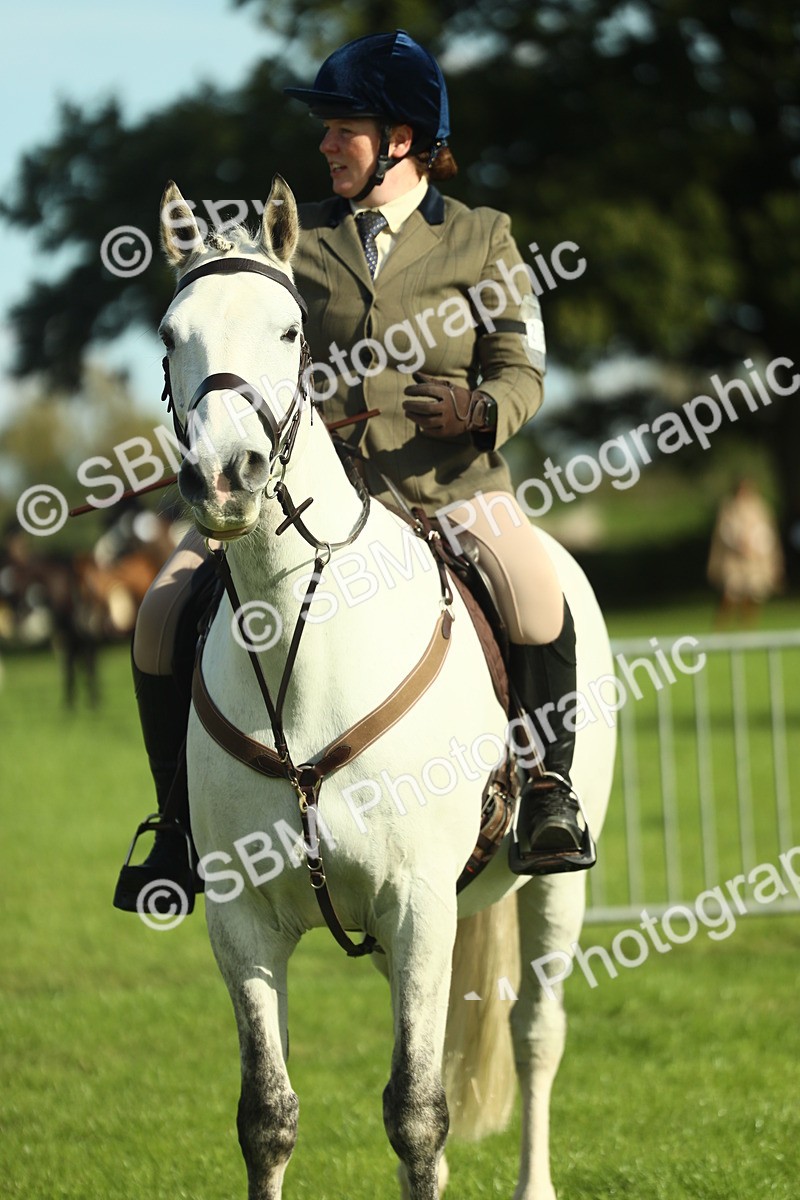 SBM_49820 - S32 - Novice & Newcomers Working Hunter