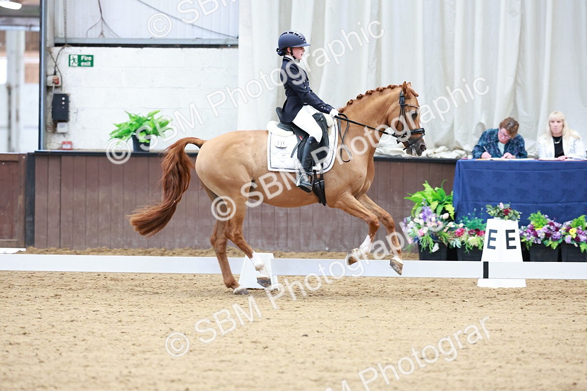 SBM_017083 - Class15 - FEI Pony
