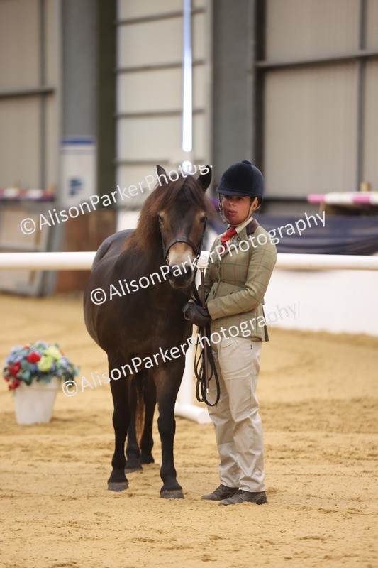 20260913-1121 - Class 110 - Bred In Other In Hand