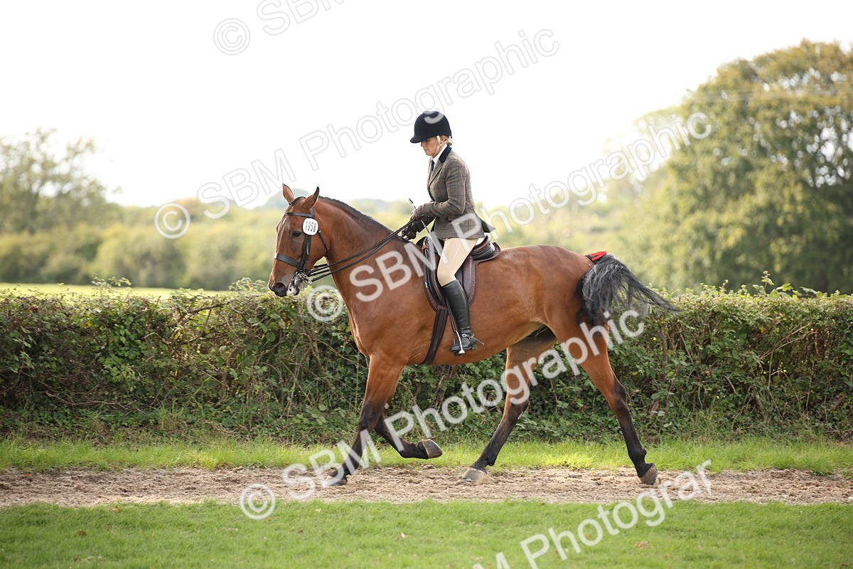 SBM_70396 - S66 - Hunter Ridden