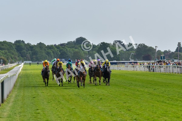 270523-Race 5-Starnberg-4472 - Race 5 3.50pm William Hill Extra Place Races Daily Handicap