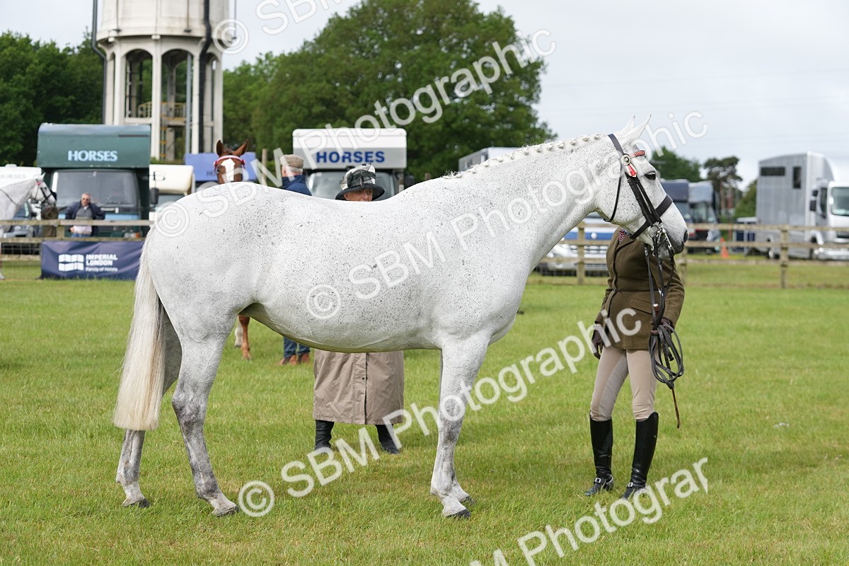 SBM_10619 - Class 97-98 - LIHS BSHA Rising Star Working Show Horse Hunter