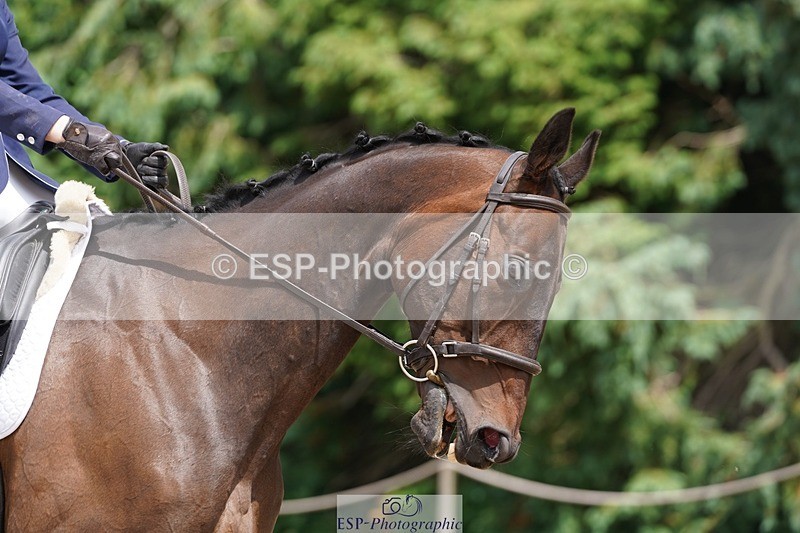 240721-133300-08951 - 205-Leia_Massey-Slipalongtrevaskis