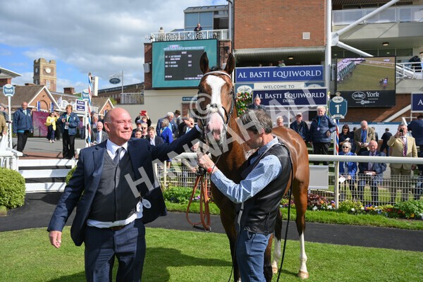 yr12052022r5-34 - Race 5 4.10pm British Stallion Studs EBF Westow Stakes