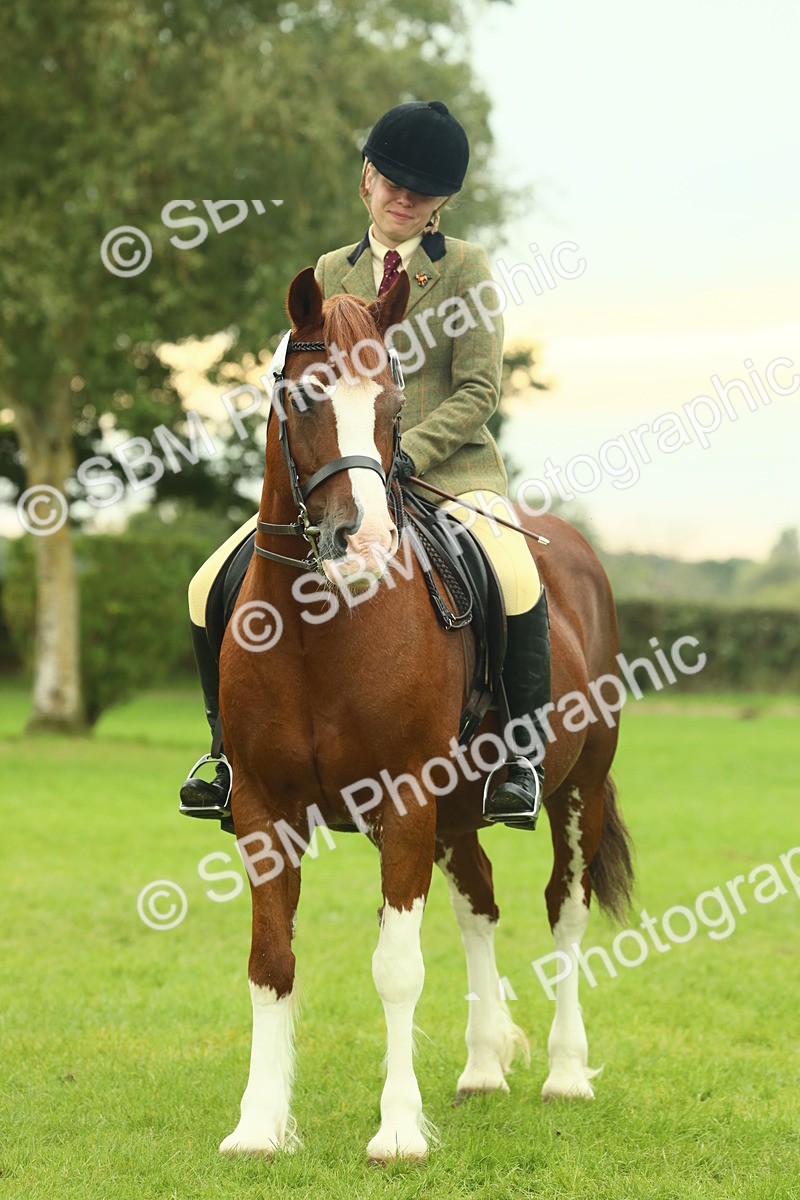 SBM_72229 - S60 - Mountain & Moorland Ridden Large Breeds