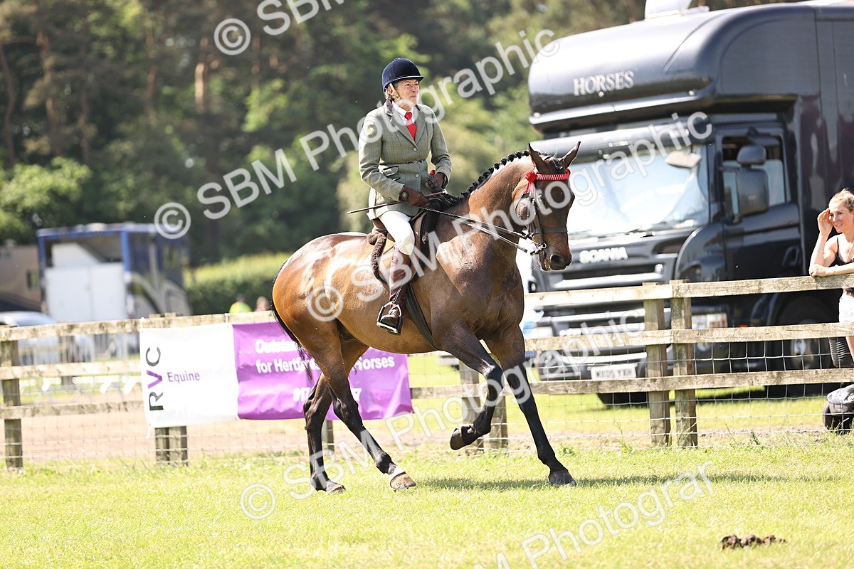 SBM_13048 - Class 75-76 LIHS BSHA Rising Star Hack Riding Horse