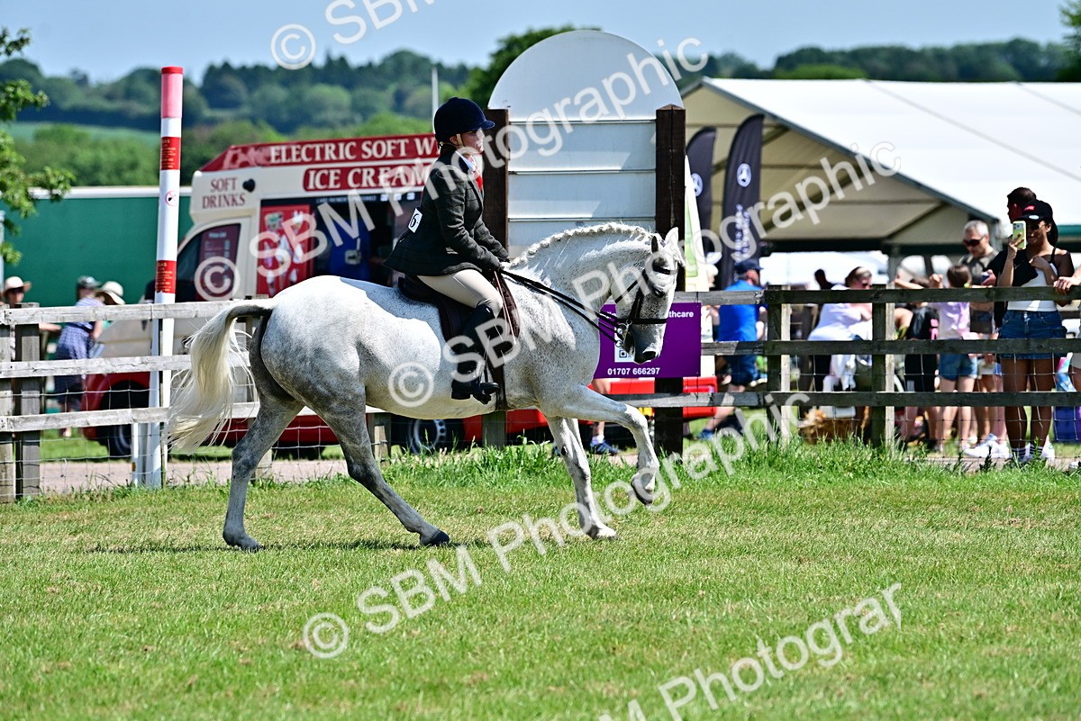 SBM_17466 - Class 95-97 - BSPS LHS Performance Ponies
