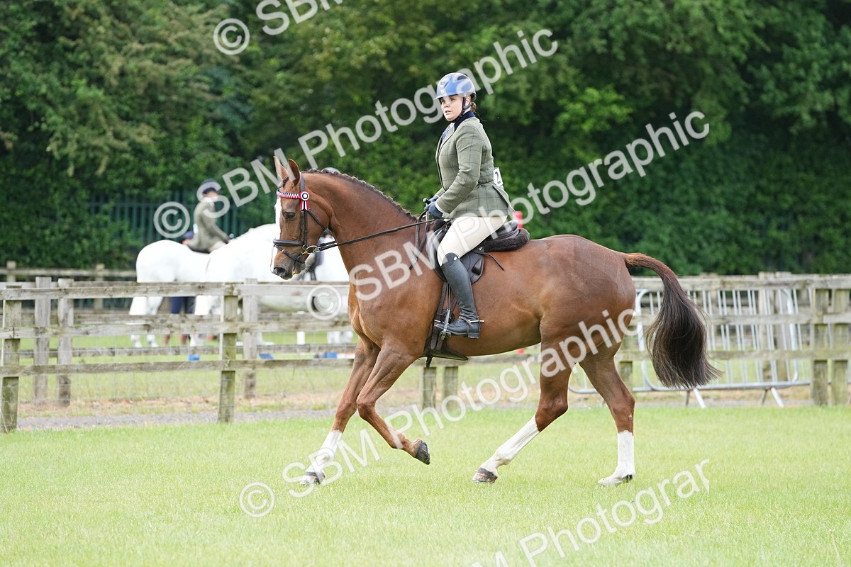 SBM_10610 - Class 97-98 - LIHS BSHA Rising Star Working Show Horse Hunter