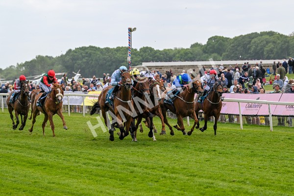 150525-Old Cock-4054 - Race 2 2.42pm Oakmere Homes Hambleton Handicap