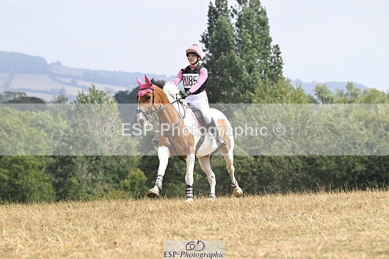 250824A-130611-36774 - 2010-Freya.Hallam-Deakin-Tommy