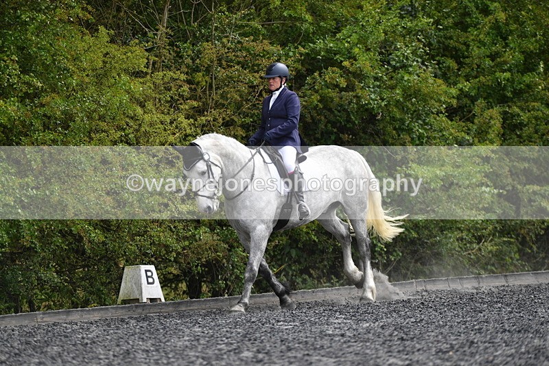 WJ5_2011 - Time 15:05 to 15:30