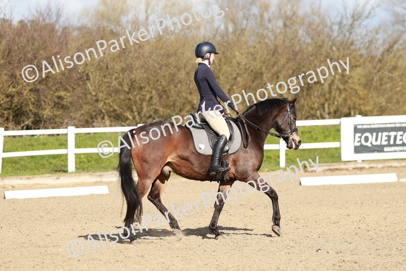 20260314-4321 - DR4 - Prelim 2