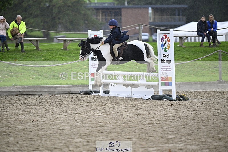 251005A-120417-03592 - Cls 08 Mini 70-75cm