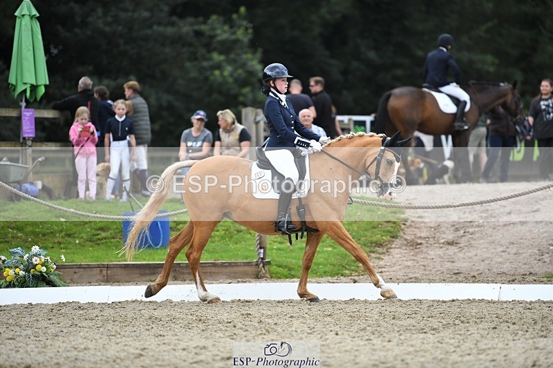 230812-124135-04190 - Cls 6 Novice Silver 12.10 to End