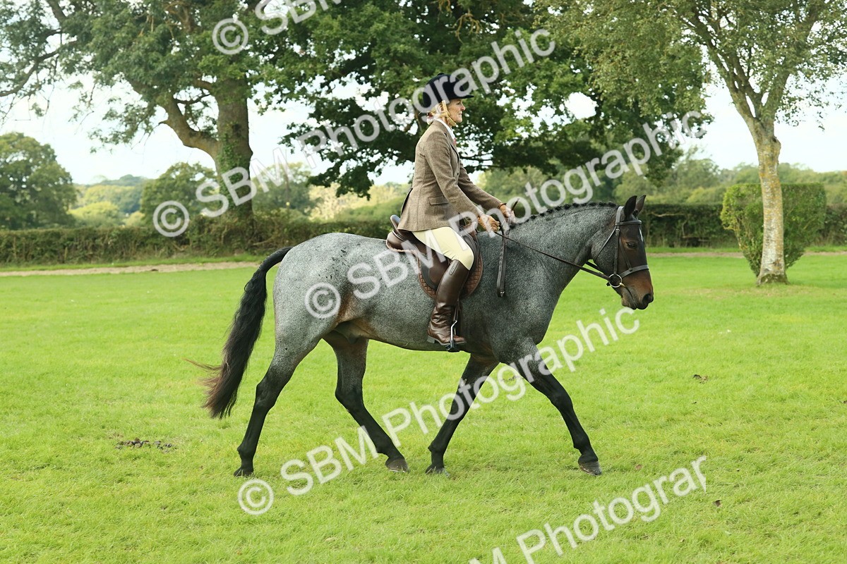 SBM_62589 - S63 - Other Coloured Horse Ridden
