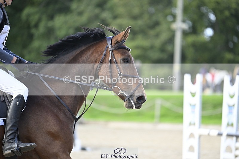 251005A-152457-04689 - Cls 10 Int 90-95cm