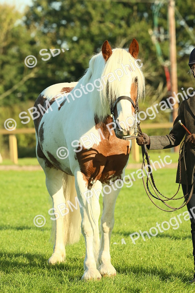 SBM_57469 - S37 - Starters In Hand Showing
