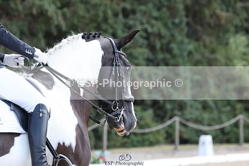 250809A-134828-03799 - 120-Julia.WoodwardLily.1