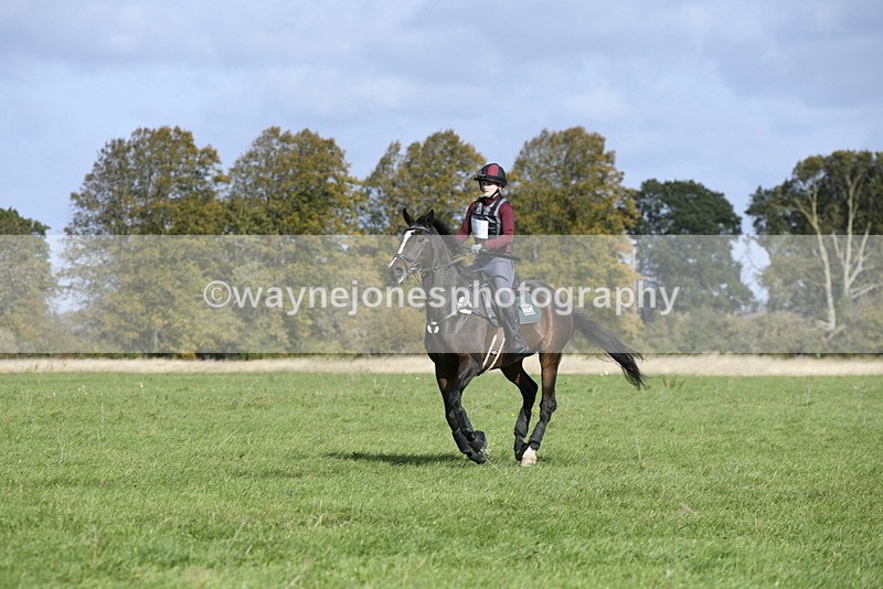 _DSC5672 - Time 10:49 to 11:23