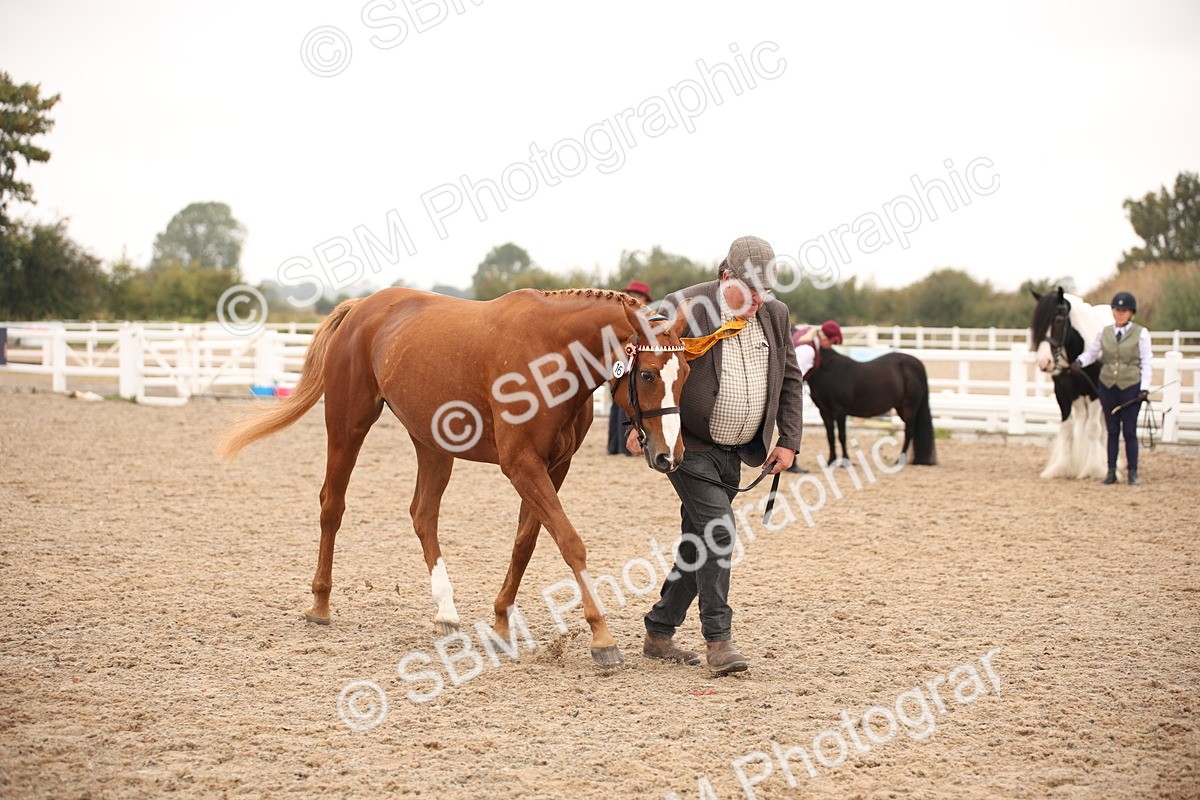 SBM_22142 - Class 707 - Ridden Groom-Helpers Class