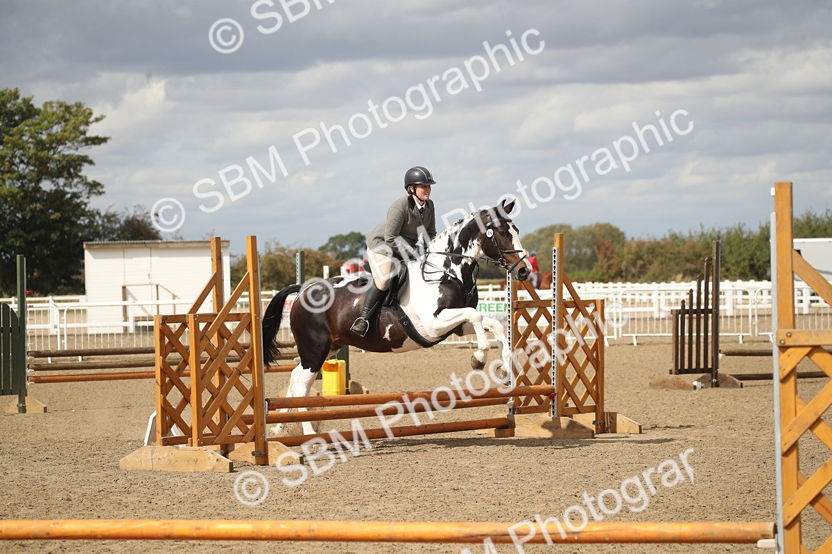 SBM_15235 - Class 506a - Working Veteran - 50cm (15-19)