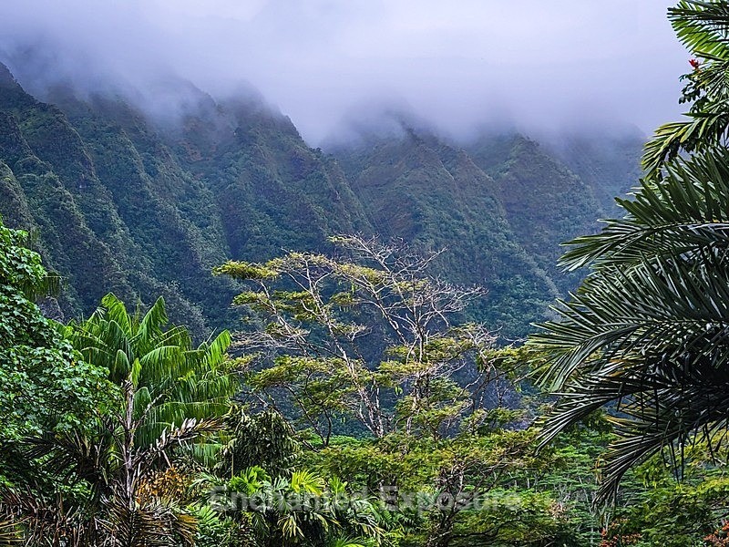 PSX_20230224_131948 - Landscapes