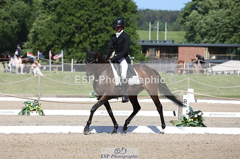 230526-102430-05249 - 361-FINCH_FANCY-Ben_Lee_Liles-WEDTrotUp+DR